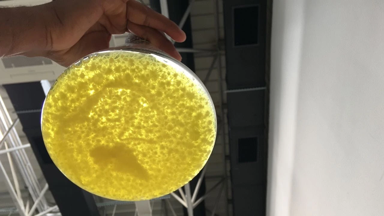 Episome microbial culture